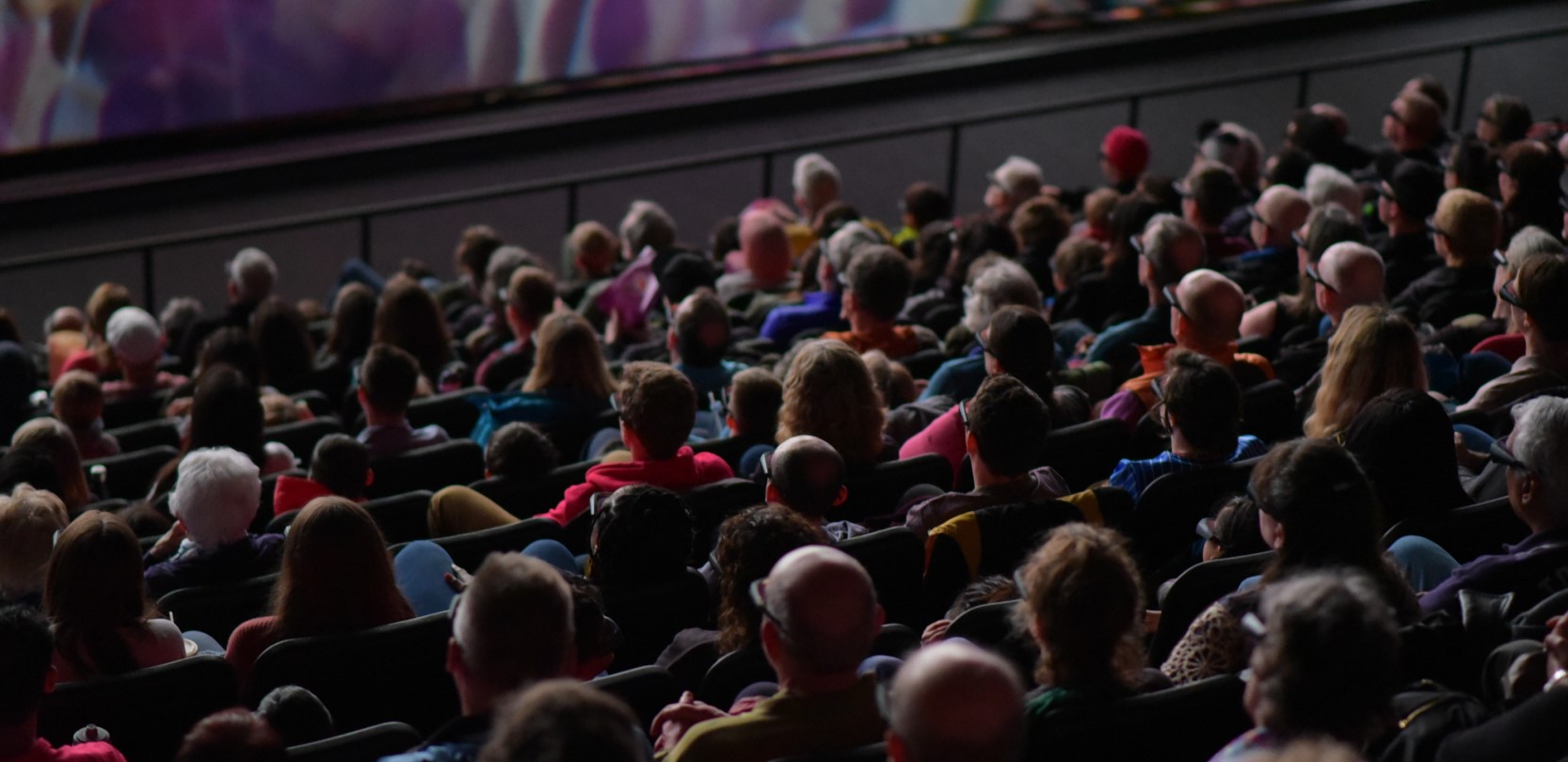 Hot Docs audience